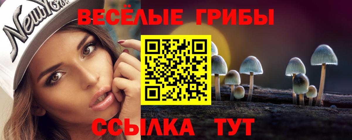 Тайшет  Псилоцибиновые грибы GOLDEN TEACHER  Вход с VPN 